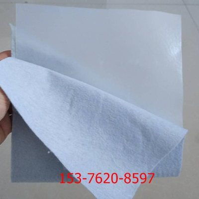 大安復(fù)合土工布 實(shí)業(yè)集團(tuán) 致力于土工布行業(yè)的創(chuàng)新與卓越