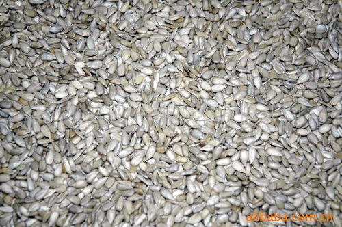 跨界創(chuàng)新 廉江市安鋪駿馬食品廠的“土工布”探索